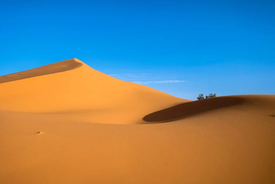 Desert